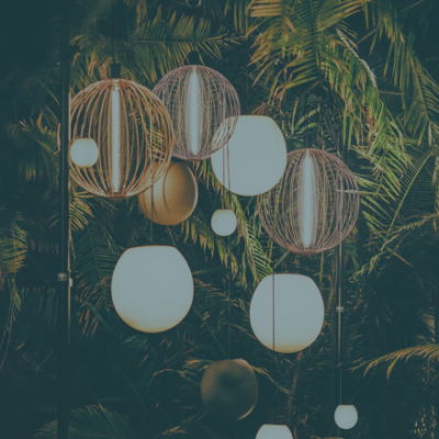 Lampade a sospensione di forma sferica con attorno foglie e piante